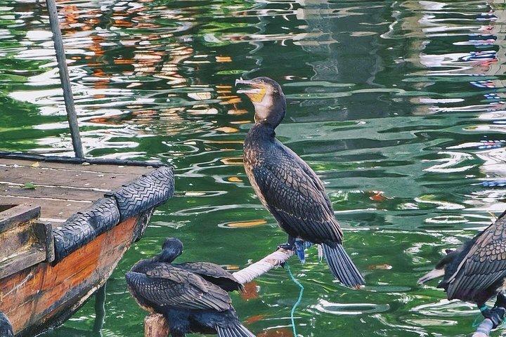 通里ウォータータウンと蘇州庭園プライベート日帰りツアー