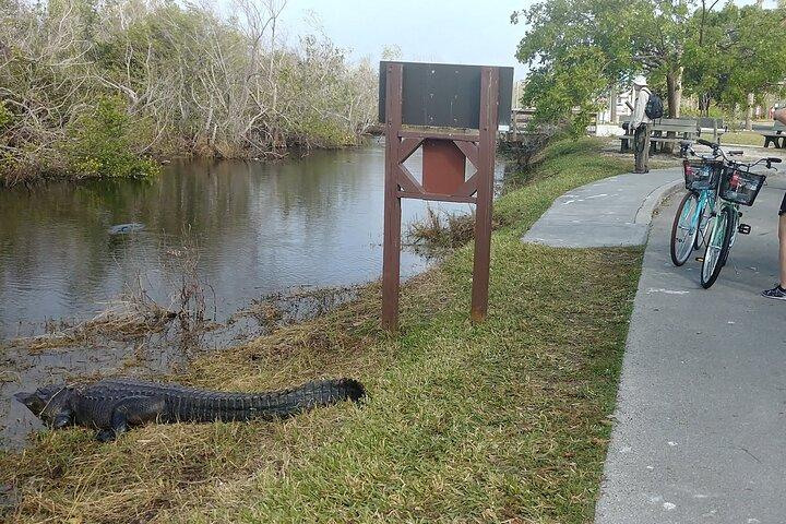 Everglades E-Bike Exploration avec Airboat