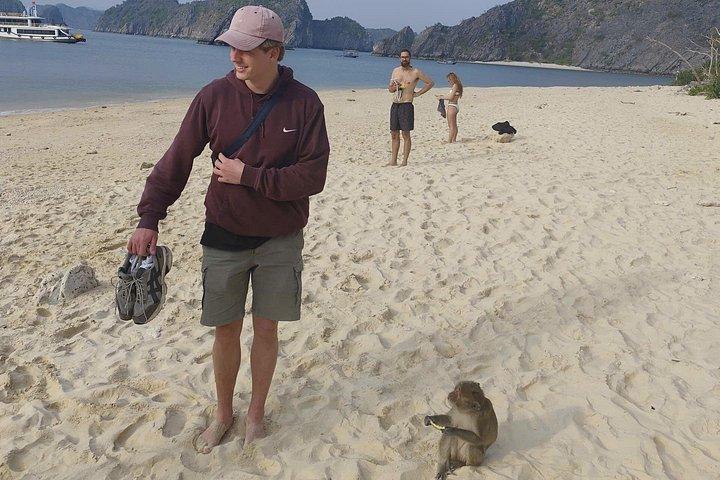 猫場-ランハ、ハロン湾-ベトハイ村バイクツアーから