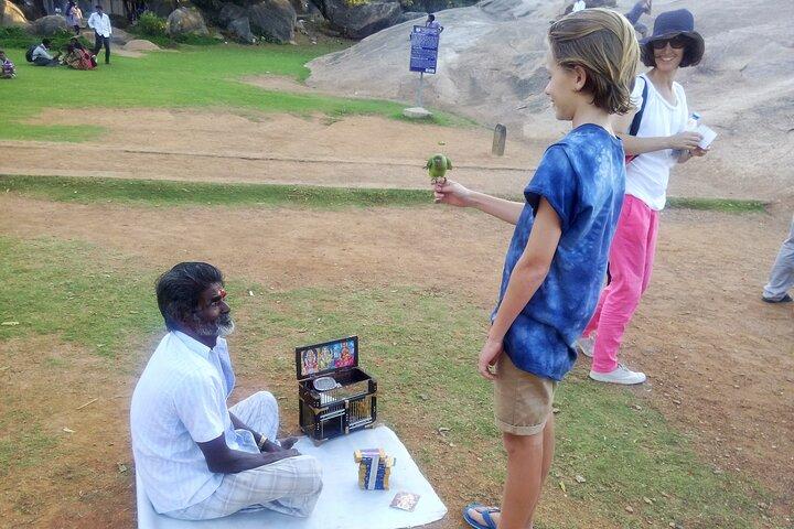 Chennai City Sightseeing Tour – 8 timers tur