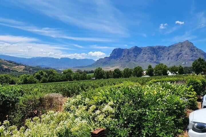 Private Stellenbosch Wine Tour