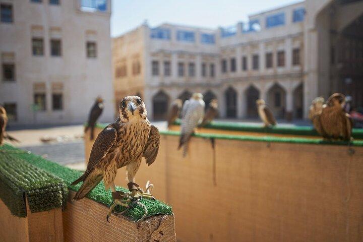 Doha Combo City Tour e Safari do Deserto com Pickup