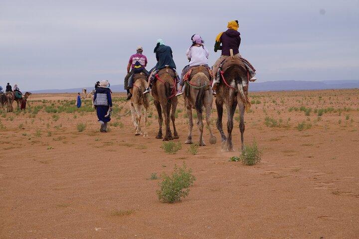 Desert & Waterfalls Adventure (5 dias)