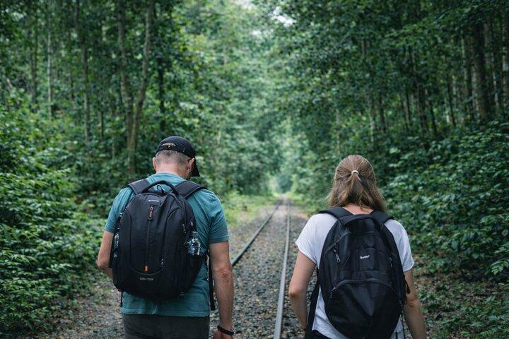 Private Sreemangal Tour Package from Dhaka: Srimangal Nature Tour