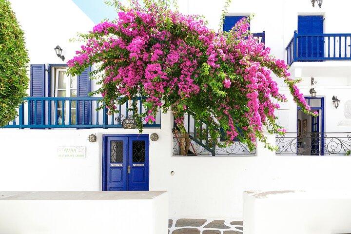Privat rundtur i Mykonos med en lokal