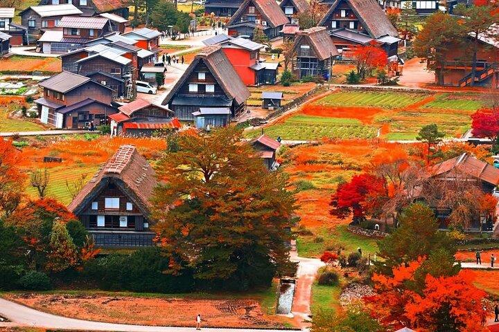 Nagoya Shirakawa-go und Takayama Ganztägige Führung