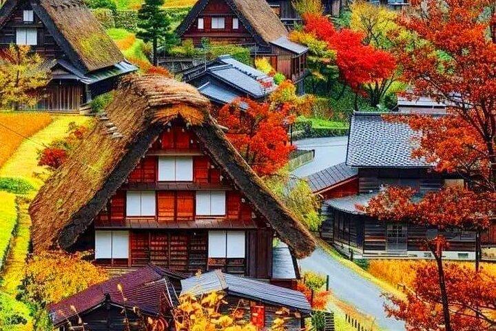 Nagoya Shirakawa-go und Takayama Ganztägige Führung