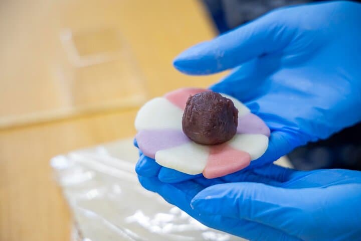 Tokyo Hands on Wagashi Making Class in Ginza