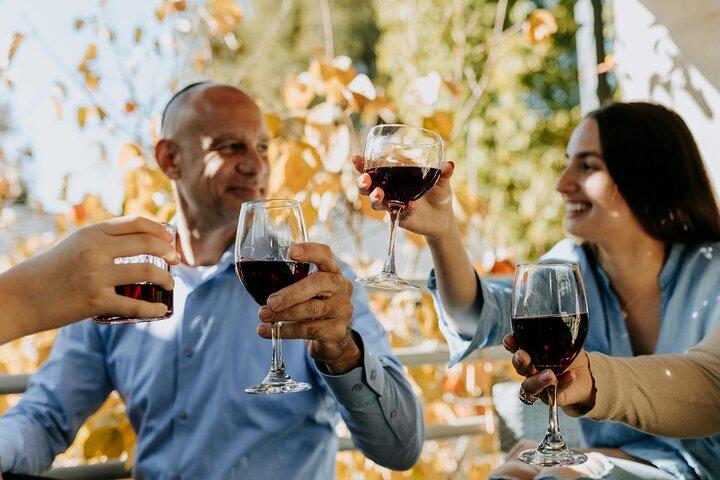 Degustação de vinhos em Bologna City Center
