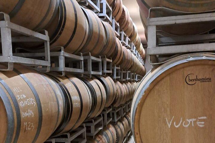 Weinprobe im Stadtzentrum von Bologna
