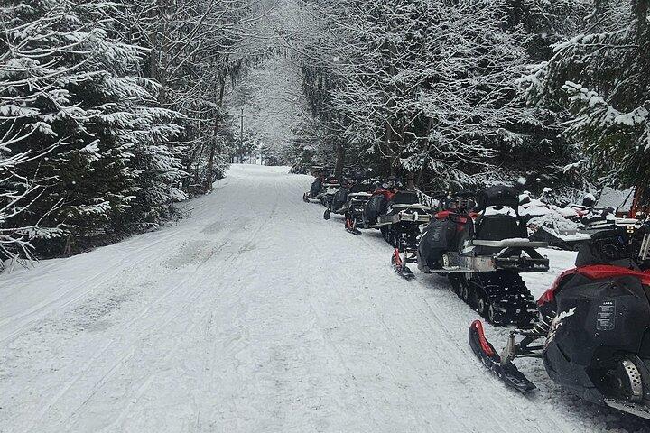 Bukarest: ATV fyrhjuling eller snöskotertur Karpaterna