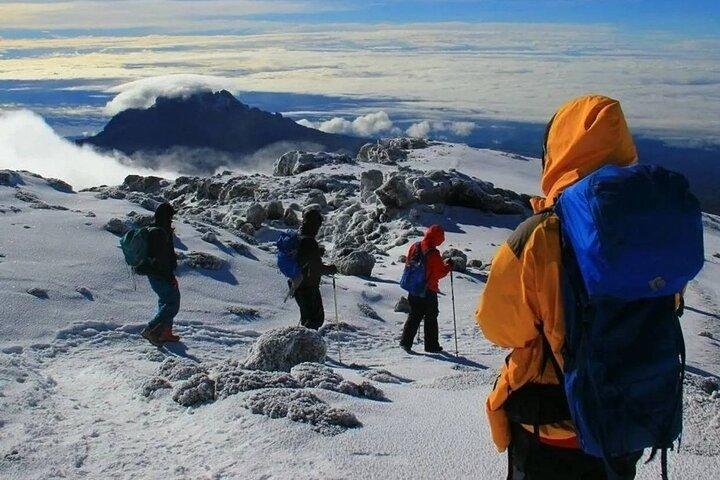 Hoteller i nærheden af Lemosho Route Kilimanjaro Trek