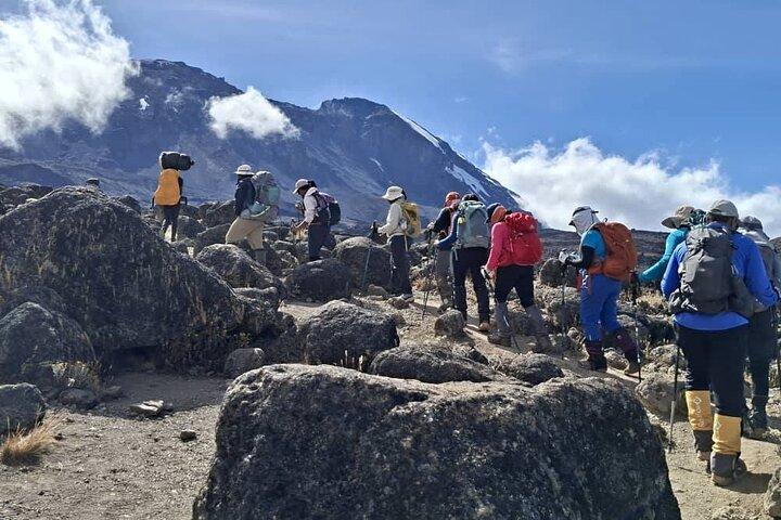 Hoteller i nærheden af Lemosho Route Kilimanjaro Trek
