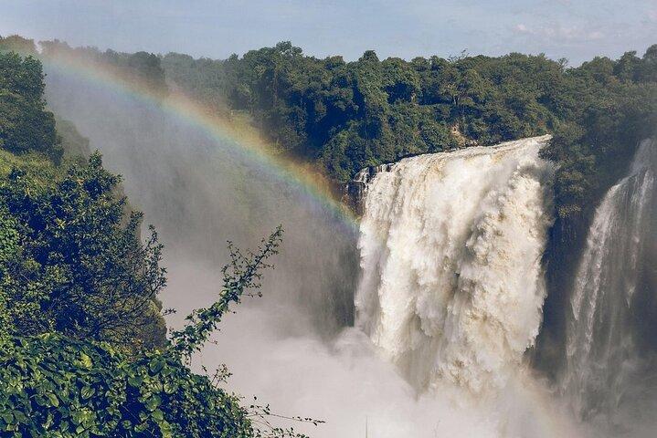 Anmeldelser af The Falls Rainforest