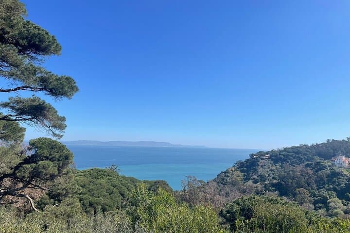 Tangier Hercules Caves, Cap Spartel & Camel Ride