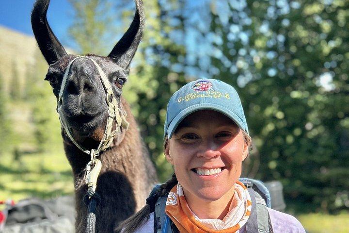 Experience Llamas | Bozeman Llama Farm Tours