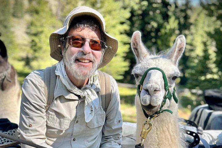 Experience Llamas | Bozeman Llama Farm Tours