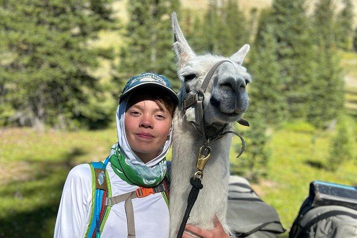 Experience Llamas | Bozeman Llama Farm Tours