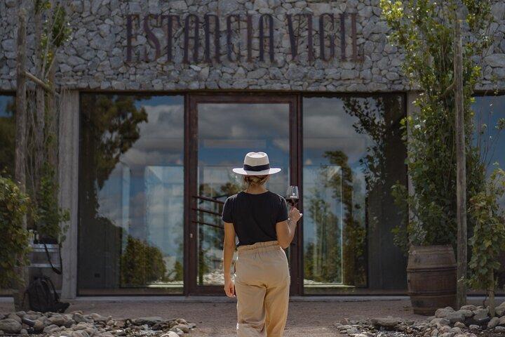 Exklusiv vin- och gourmetlunchupplevelse på Estancia Vigil