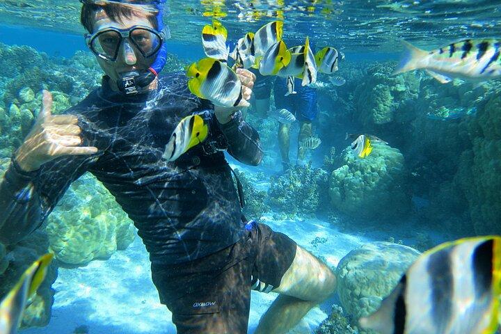 1/2 day Tahaa coral garden - departure Raiatea / ideal for cruise passengers