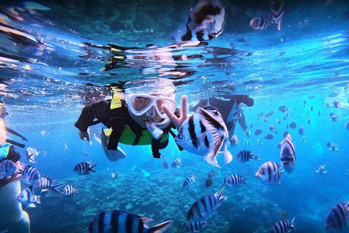 Okinawa Blue Cave Snorkeling Adventure con foto gratis