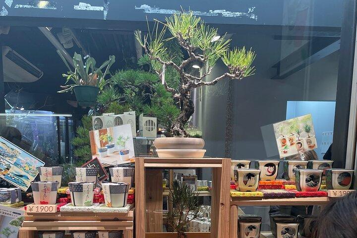 Visitez le site que vous aimez, le marché Nishiki, Fushimi Inari, etc.