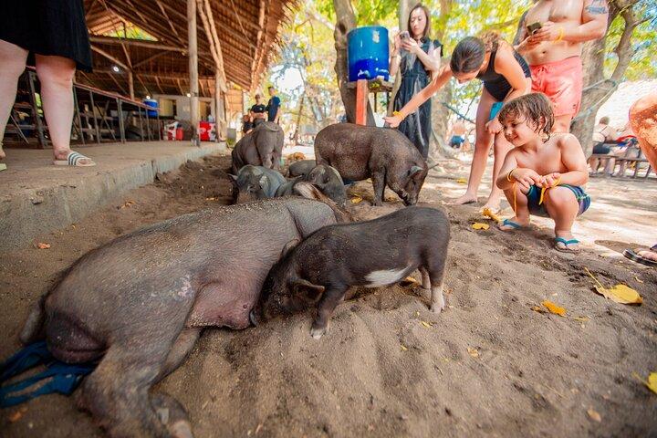 サムイ島からスピードボートでマドゥム島とタン島のシュノーケリング旅行
