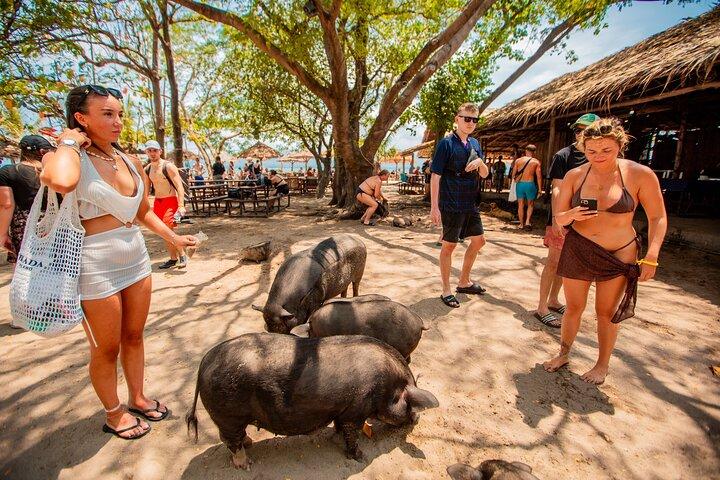 サムイ島からスピードボートでマドゥム島とタン島のシュノーケリング旅行