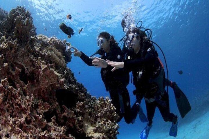Okinawa Blue Cave Diving Adventure con fotos gratis