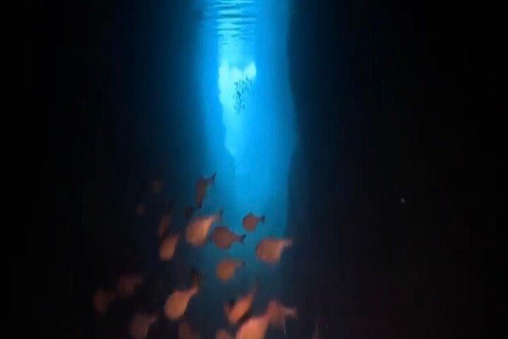 Okinawa Blue Cave Diving Adventure con fotos gratis