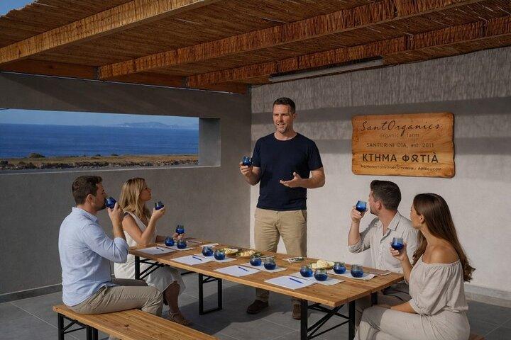 Experiencia privada de cata de aceite de oliva y licor en una granja ecológica