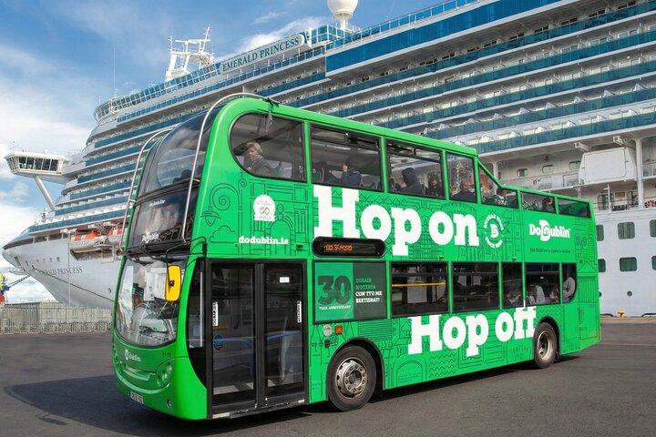 Excursión por la costa en crucero por Dublín|Autobuses con paradas libres y traslado en tren
