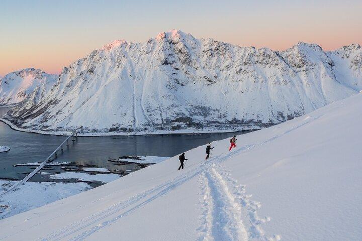 Islas Lofoten: Tour guiado con raquetas de nieve - Versión cuesta arriba