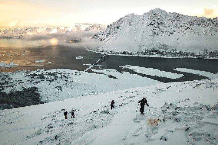Islas Lofoten: Tour guiado con raquetas de nieve - Versión cuesta arriba