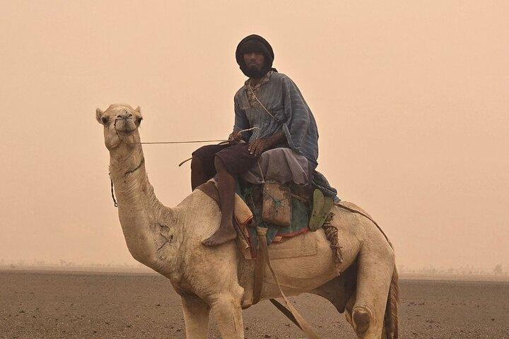 Dakhla Heldagstur till vita sanddyner, Imlili och nomadkultur