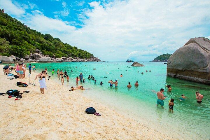サムイ島からスピードボートでタオ島とナンユアン島のシュノーケリング旅行