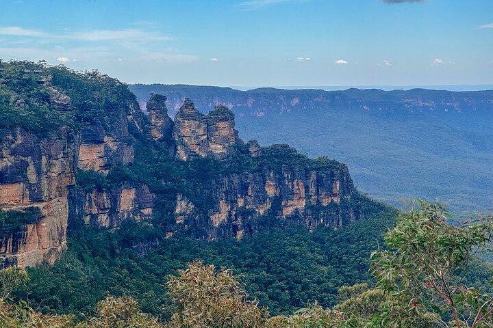 Privétour door de Blue Mountains: schilderachtige wereld, wilde dieren en Koala Foto