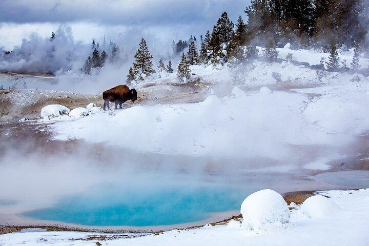 3 - Giorno Yellowstone, Grand Teton Winter Discovery Tour per piccoli gruppi