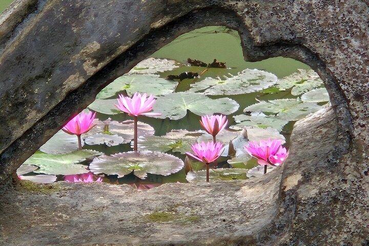 Best Private Ninh Binh Day Tour de Hanói Muitas Opções