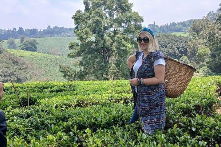 Nairobi : Visite de la ferme de thé de Kiambethu avec déjeuner