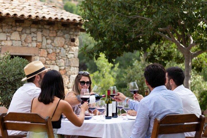 Tour de vinho de dia inteiro em Alicante Duas vinícolas e degustações