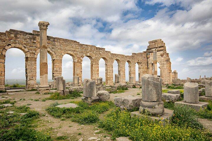 Privé dagtrip van Fez naar Volubilis, Moulay Idriss & Meknes