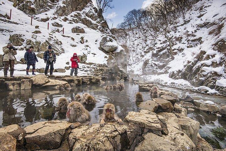 Dagtour naar Nagano vanuit Tokyo Zenko Ji-tempel en sneeuwapen