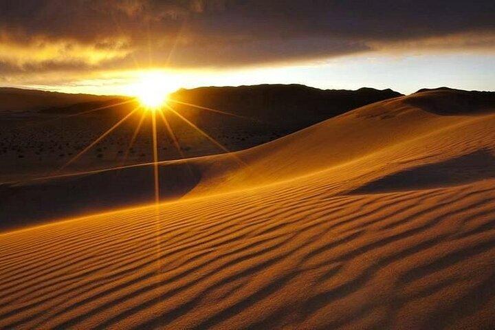 From Taghazout & Tamraght: Sandboarding Adventure with Camel Ride