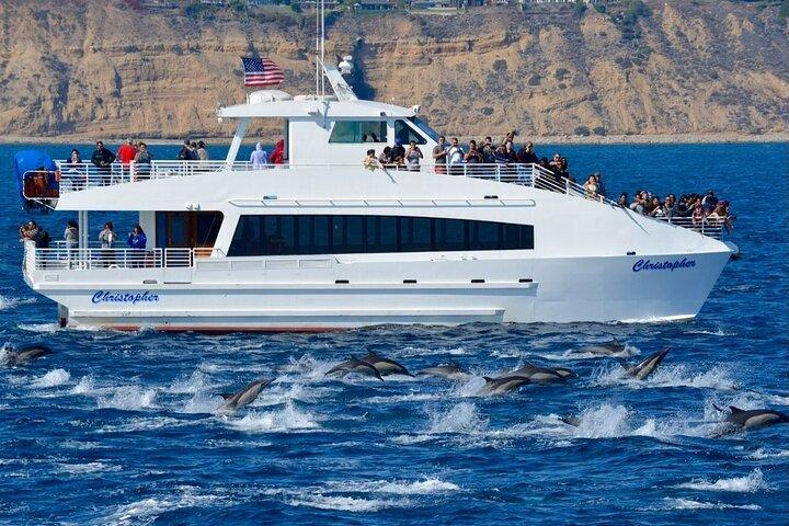 Los Angeles Whale Watching of Sightseeing Cruise & USS Iowa Tour