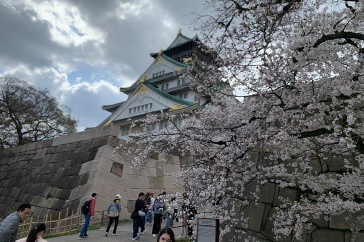 Osaka Private Walking Tour Castle Dotonbori and Shinsekai