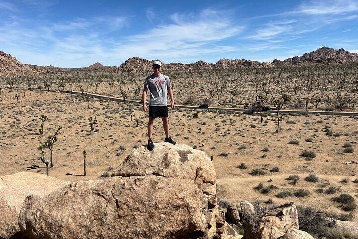 Avventure guidate a Joshua Tree Park | Fare di più poi visitare la città