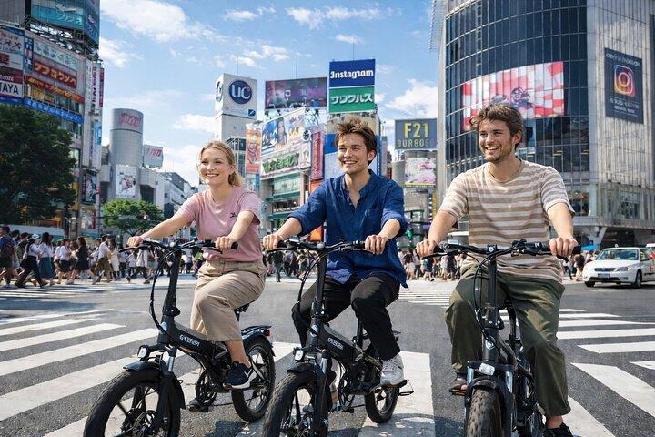 3-hour electric bicycle Private tour of Tokyo's famous sights