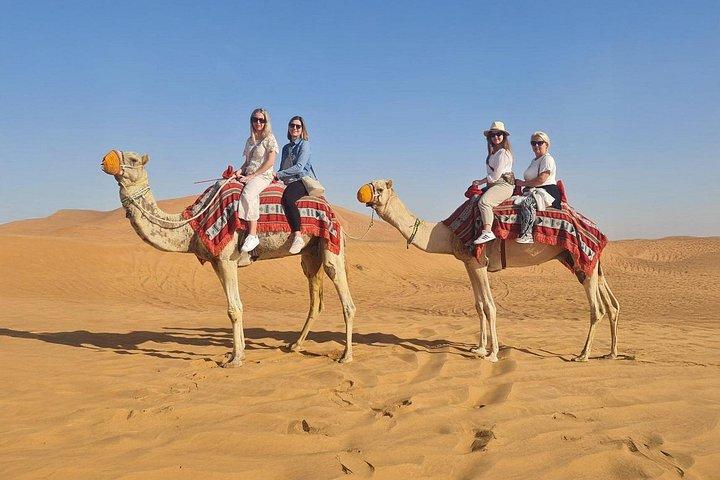 Dubai : Red Dunes Safari, Quad, Camel, Dune Bash, BBQ & Shows