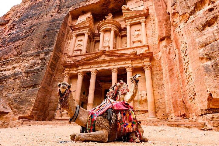 Petra Day Tour de Amã Explore a Cidade da Rosa Vermelha